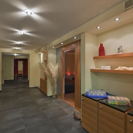 Metropol Hotell Saas Fee