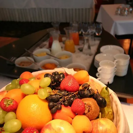 Hotel Metropol